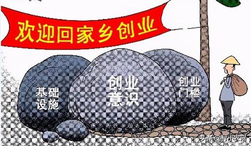 2021前景看好的农村创业项目，市场需求量大，赚钱多