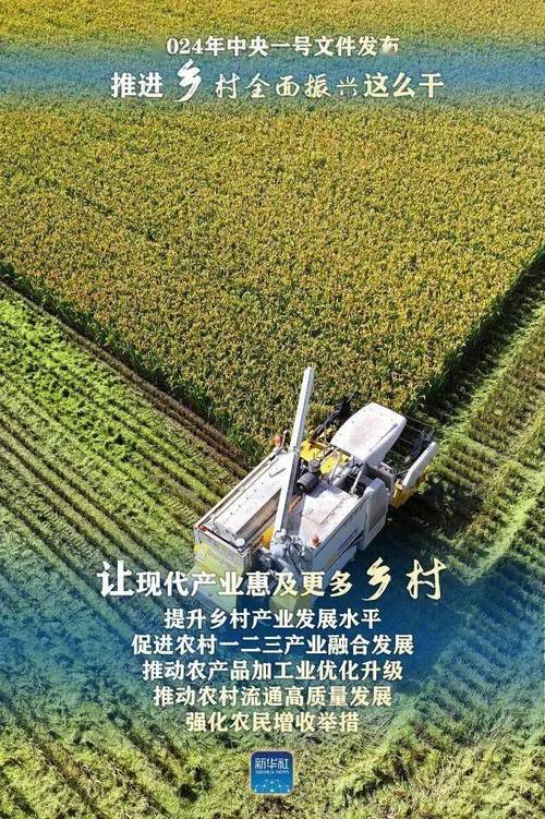 产业扶贫基地维修报告解读：筑牢乡村振兴的坚实基石