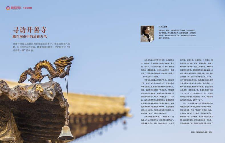 开善寺维修勘验报告解读:古寺焕新颜,文化传承得以延续
