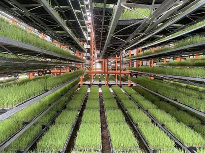 育秧基地维修报告解读:迈向高效农业的新篇章